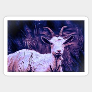 Goat at Night Sticker